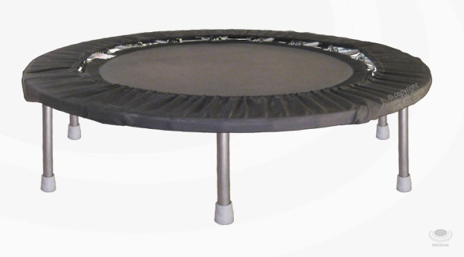 Black Needak Rebounder