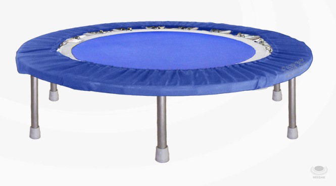 Blue Needak Rebounder